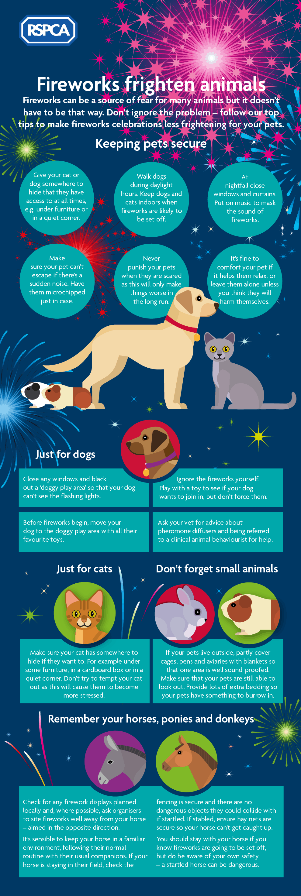 New Year's Eve Fireworks Safety