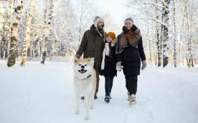 Protecting Your Pets During the Cold Winter Months (brrrrr!)